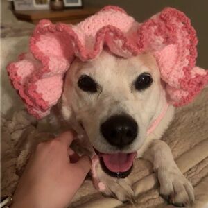 Handmade crochet hats for dogs/cats.